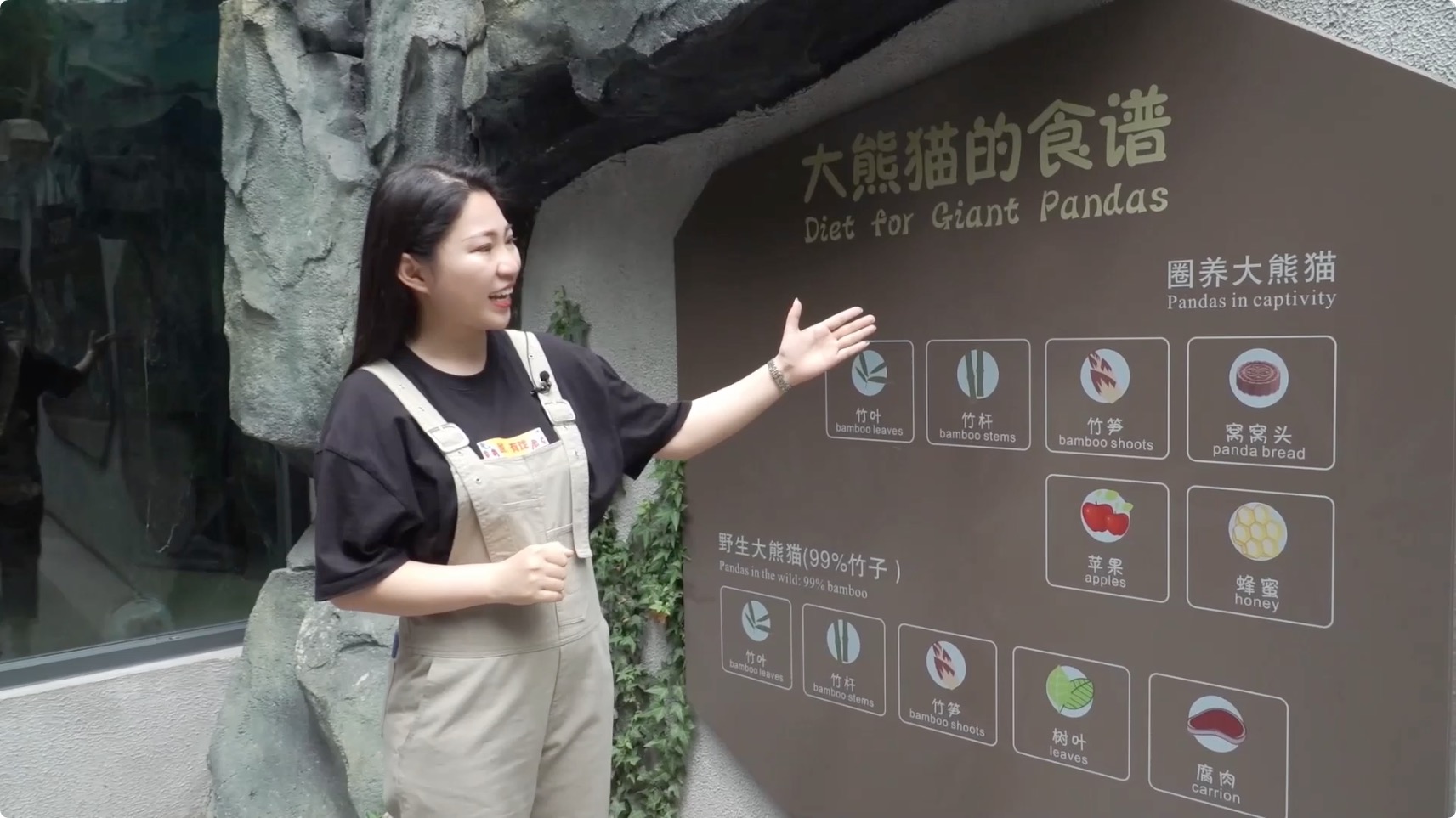 圖片6：熊貓吃什么？.jpeg