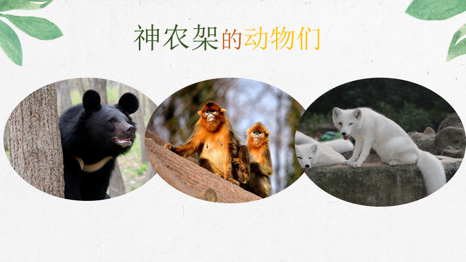 圖2：課程內(nèi)容.png